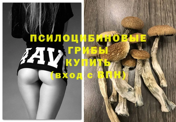 дживик Белоозёрский