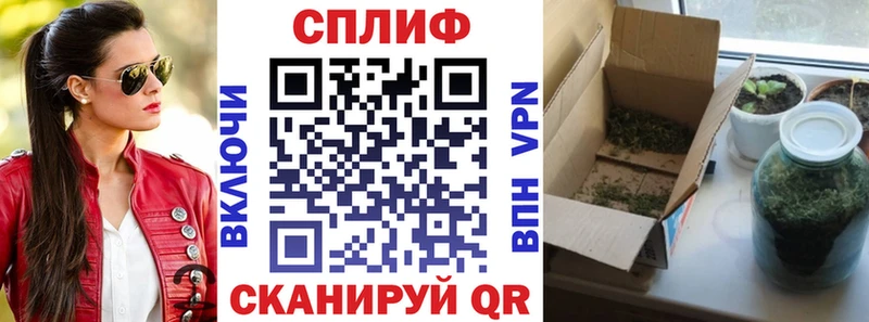 mega зеркало  Фёдоровский  Каннабис индика  как найти наркотики 